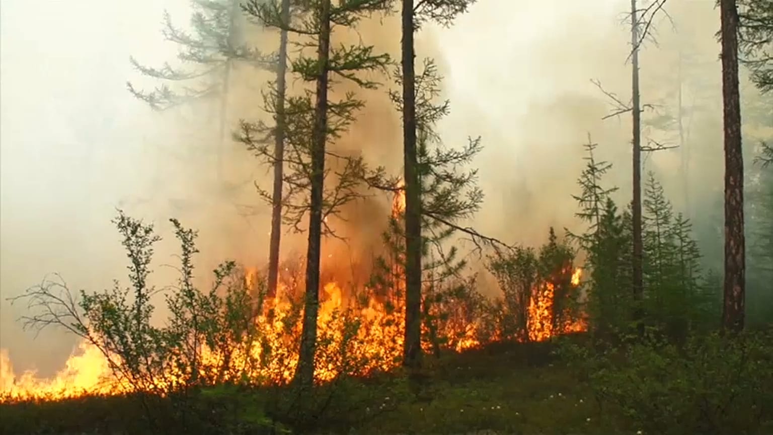 Il Circolo Polare Artico in fiamme
