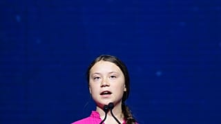 Экоактивистка Грета Тунберг переплывет Атлантику на яхте