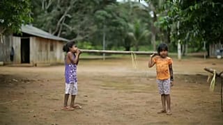 Amazonas Stammeschef getötet - Folge von Bolsonaros Bergbau?