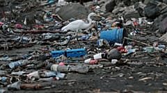 ¿Sería capaz de vivir sin plásticos? En verano consumimos un 40% más