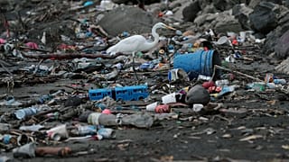 Plastic waste 'goes up by 40% during the summer'