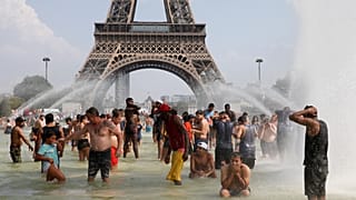 Pourquoi le réchauffement climatique nous rend plus gros et plus "bêtes" ?