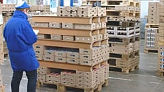 Papírból készít raklapot egy magyar cég