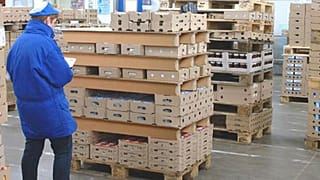 Papírból készít raklapot egy magyar cég