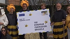 No Comment of the week: api, mongolfiere, proteste e panda