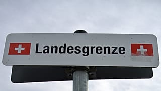Seehofer will "intelligente Kontrollen" an der Schweizer Grenze