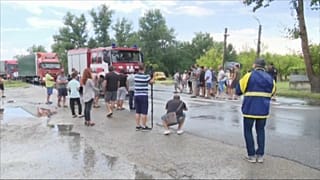 Rechazo entre los búlgaros a sacrificar cerdos