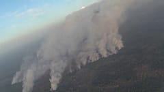 Dürre, Hitze, leichtsinnige Lagerfeuer: Waldbrände in Sibirien