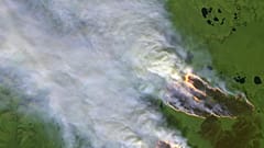 Copernicus monitoring of Arctic fires in the Sakha Republic, 4 August 2019 