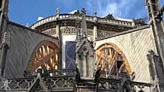 Grupos ecologistas exigen medidas de protección por la contaminación en Notre Dame