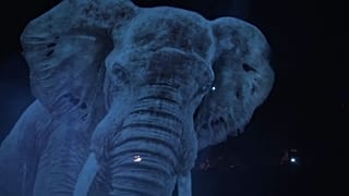 Hologramok helyettesítik az állatokat egy német cirkuszban