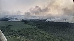 Incendi in Siberia: ministero ottimista, Greenpeace pessimista