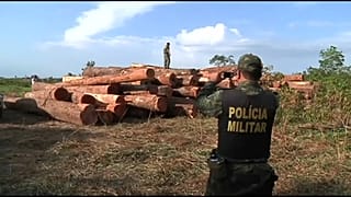 Desflorestação da Amazónia bate recorde em julho
