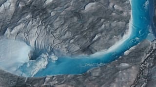 تصویر از ویدیوی رویترز 