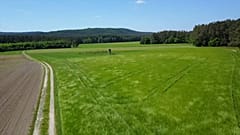 Weltklimarat: Landwirtschaft auf dem Prüfstand