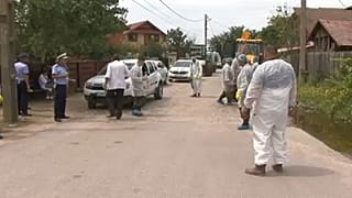 Tombol a sertéspestis Romániában