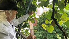 Vorsicht, Wortspiel: edler Tropfen vom Château Latif