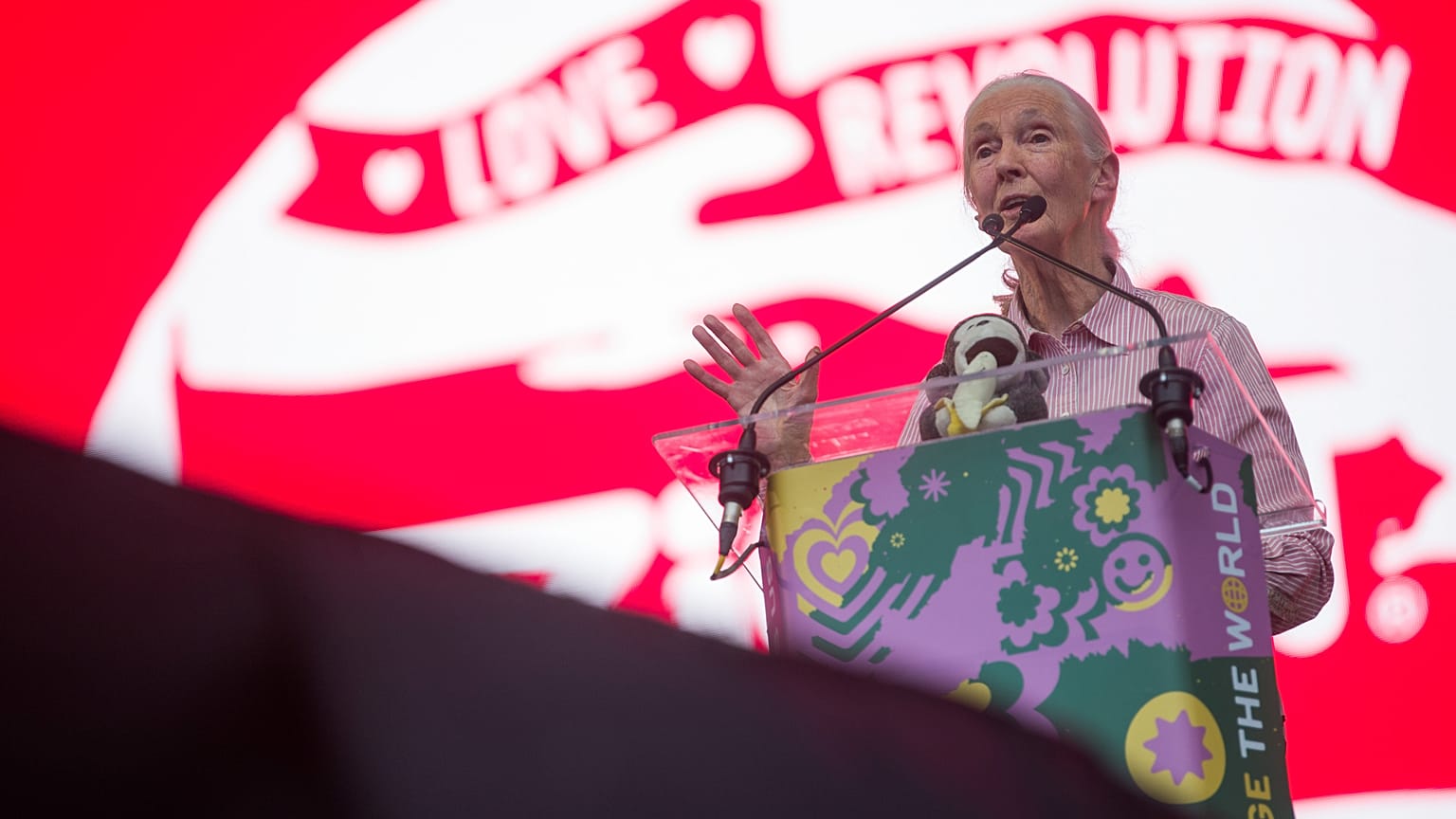 Sziget-Festival: Besucher feiern umweltfreundlich