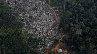 Arquivo