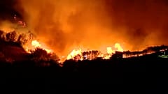Waldbrand auf Gran Canaria wütet weiter
