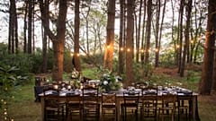 4 deliciously wholesome forage-to-fork experiences to try this Autumn