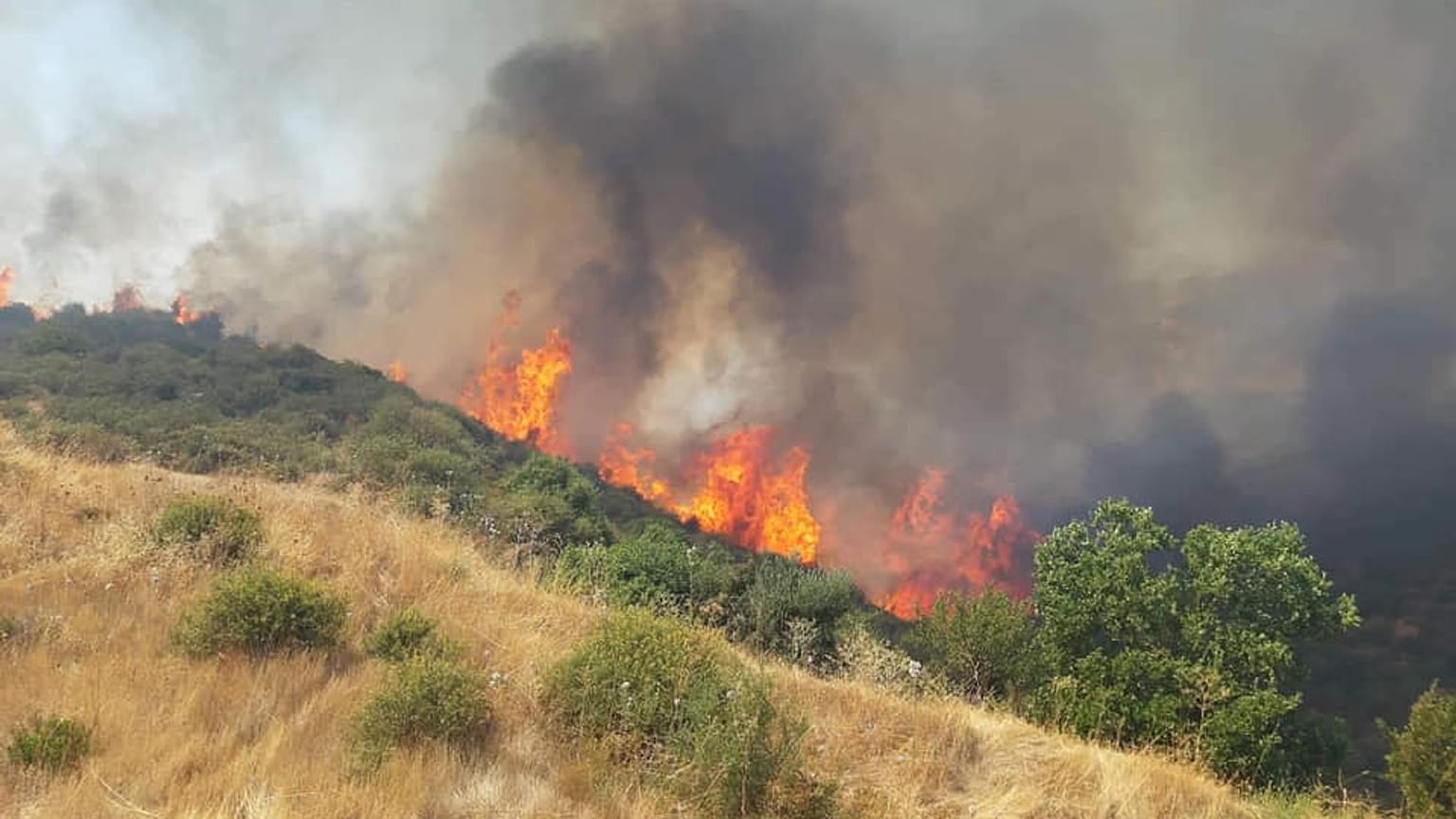 Υπό πλήρη έλεγχο η φωτιά στη Λεμεσό