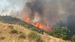 Υπό πλήρη έλεγχο η φωτιά στη Λεμεσό