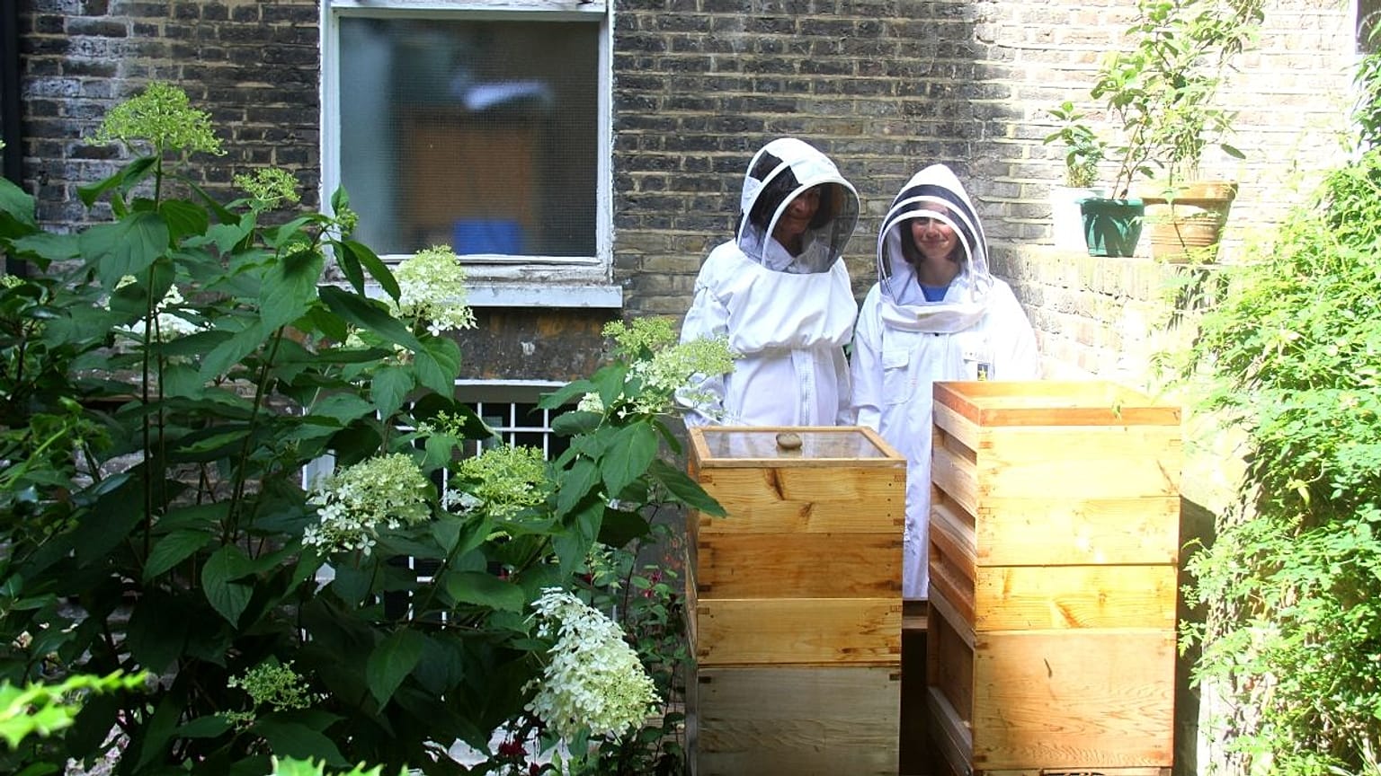 My day as an urban beekeeper at the Melissa Bee Sanctuary