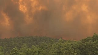 Grécia: Chamas em Eubeia já destruíram parte de reserva da rede Natura
