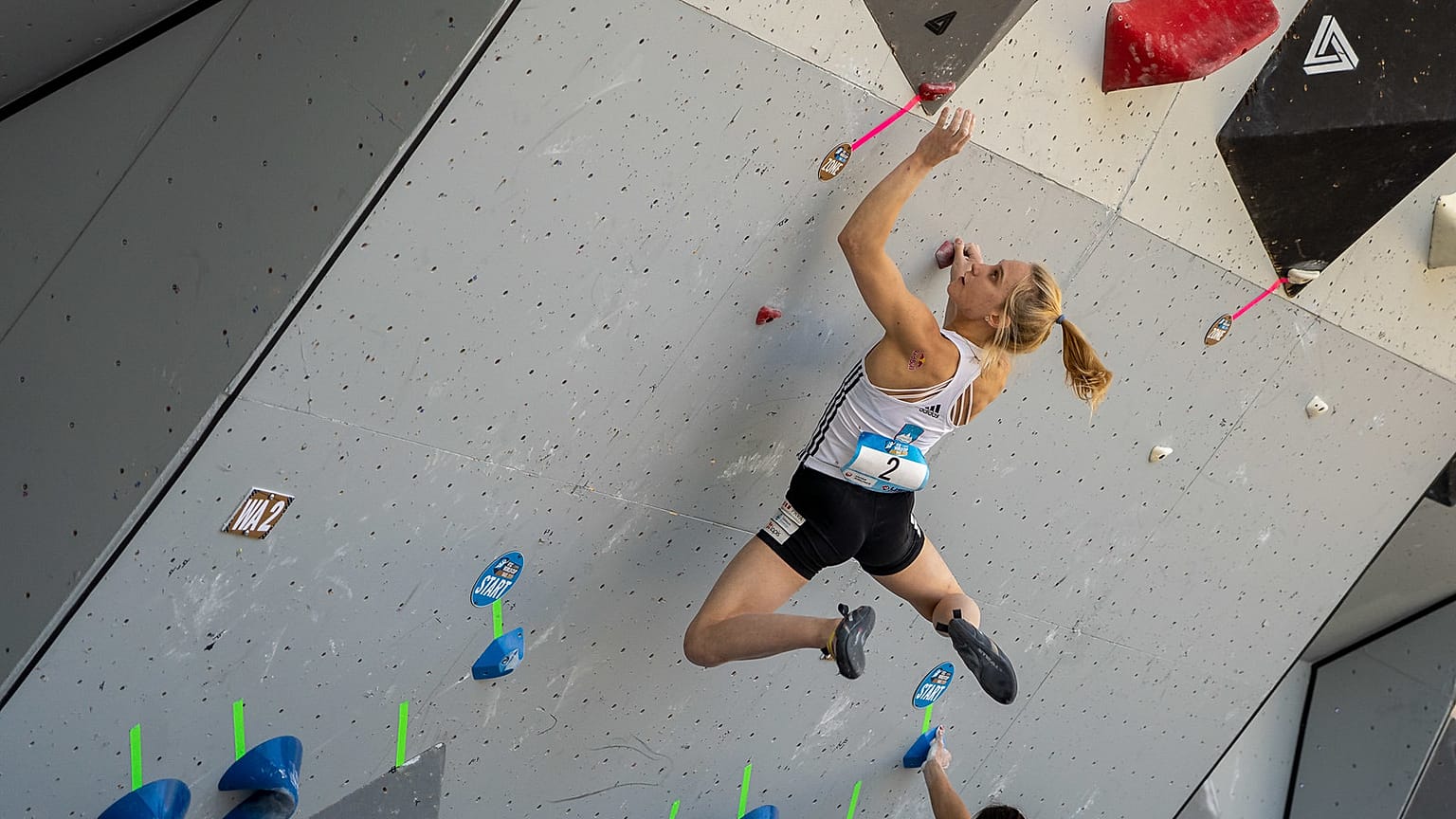 L'escalade prépare sa mue olympique