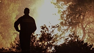 ΑΠΕ ΜΠΕ/ Βασίλης Ασβεστόπουλος