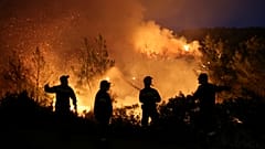 Firefighters try to extinguish a wildfire burning near the village of Makrimalli on the island of Evia, Greece, August 13, 2019. 