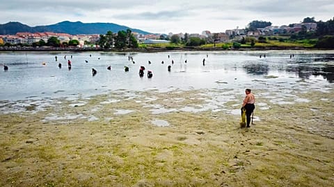 The invisible women of Europe's fishing industry