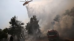 Incendies en Grèce : La solidarité sauve Eubée de la catastrophe écologique