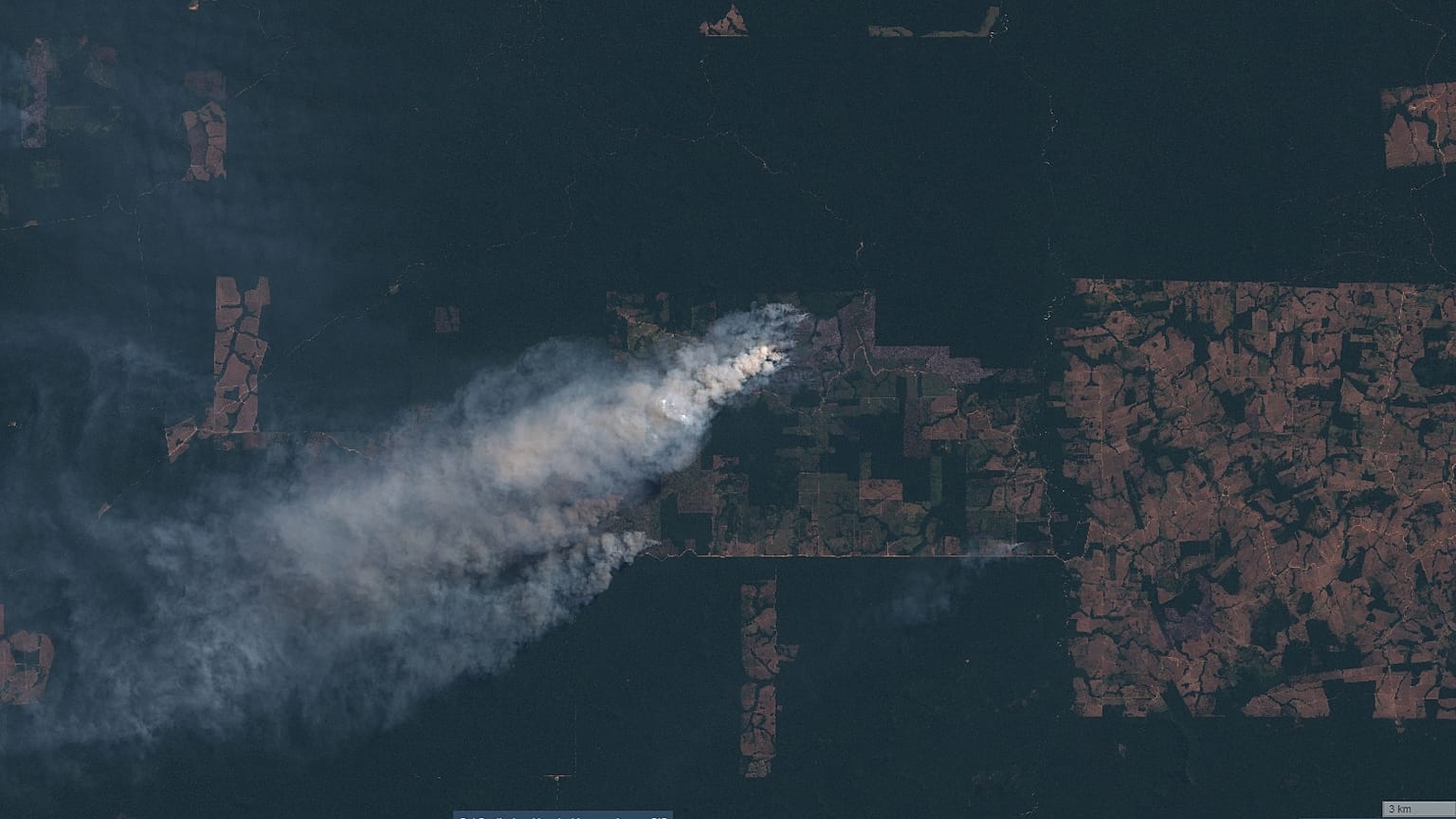 Los incendios en el Amazonas cubren con una nube de humo Sudamérica