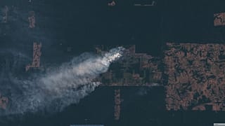 Los incendios en el Amazonas cubren con una nube de humo Sudamérica