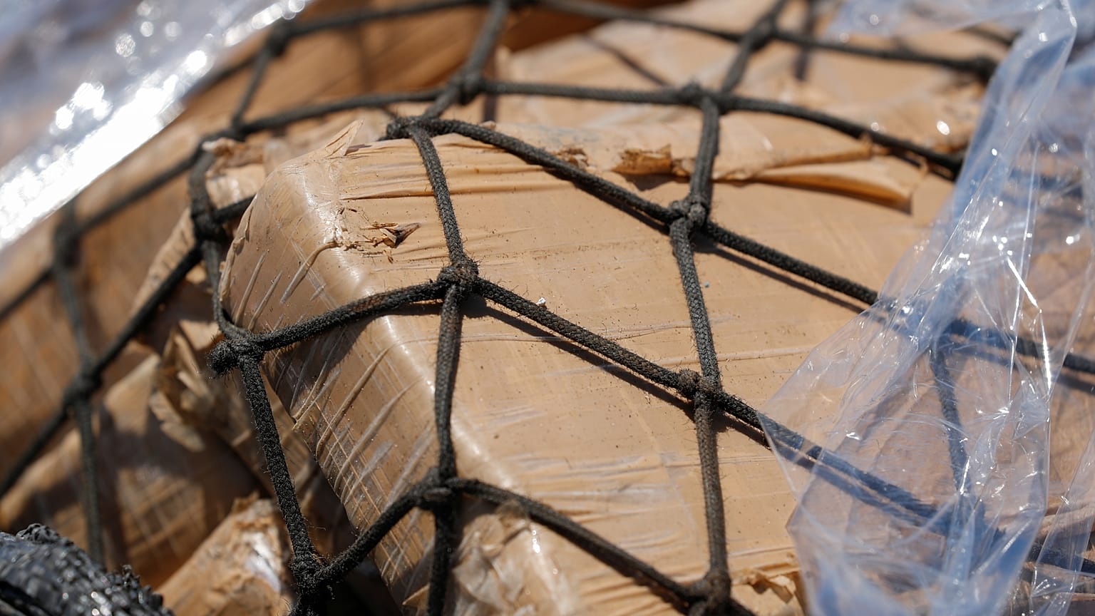 Plus d'une tonne de cocaïne saisie au Havre, pour un montant estimé à 74 millions d'euros