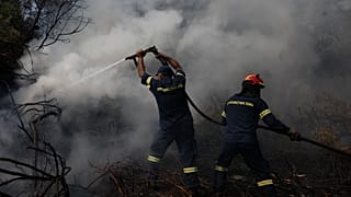 Grèce : l'incendie sur l'île d'Eubée "contenu"