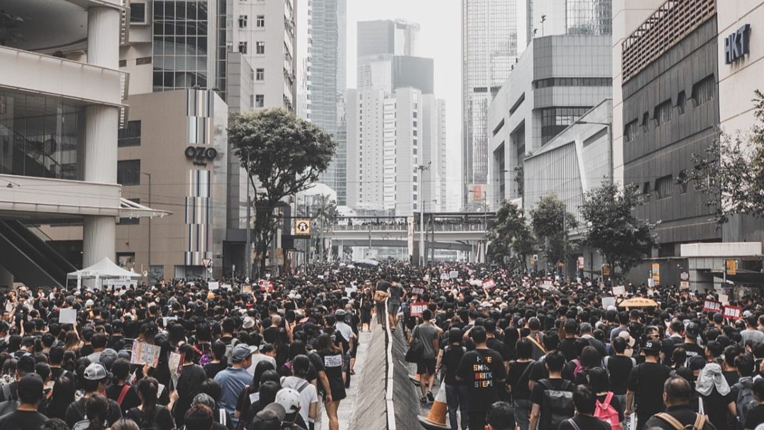 Hong Kong protesters