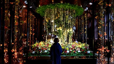 Floral decoration inside of the Brussels' city hall during "Flowertime" event