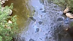 Ivanjica in Westserbien droht eine Umweltkatastrophe