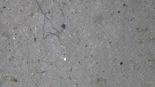 Microplastics are in our drinking water, warns WHO 