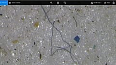Plastik auch im arktischen Eis