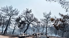 Εύβοια: Όλα τα ενδεχόμενα ανοιχτά για τα αίτια της φωτιάς