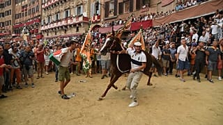 Siena, Palio dell'Assunta: vince la Selva