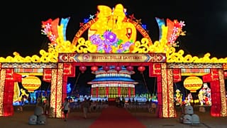 Chinese lanterns light up the world's biggest food park in Bologna