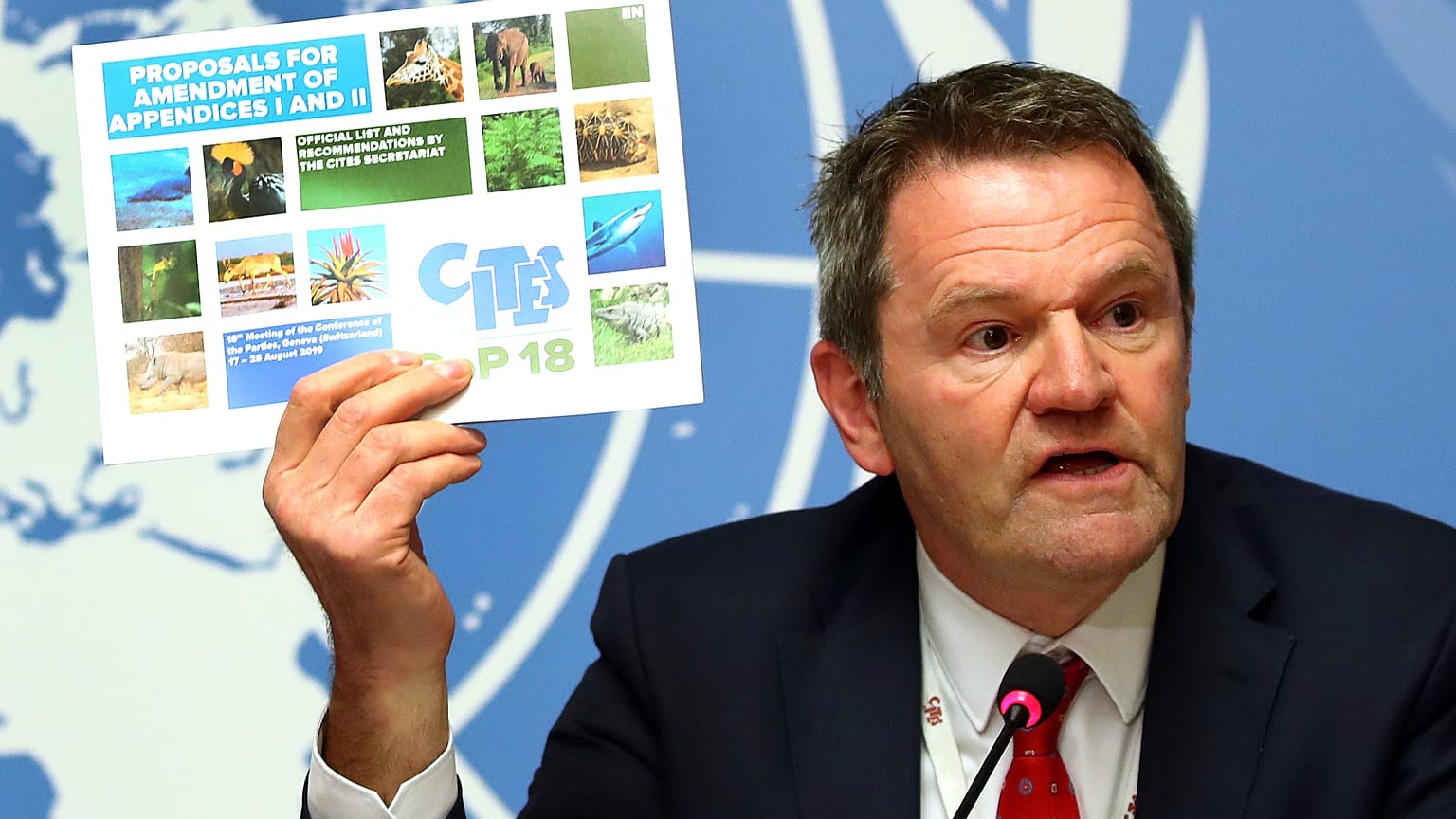 Wildlife trade: UN watchdog meets to protect more species