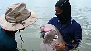 Archive footage of Marium being cared for one year ago