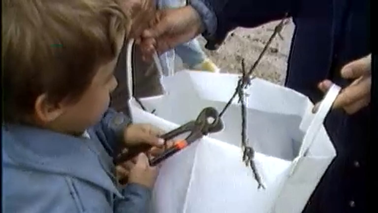 Dominóhatást indított a Páneurópai Piknik 