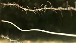 Hogyan működött a vasfüggöny?